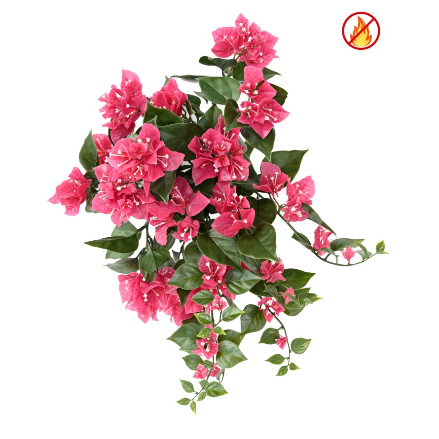 Bougainvillea large fall FR - Fire Resistant