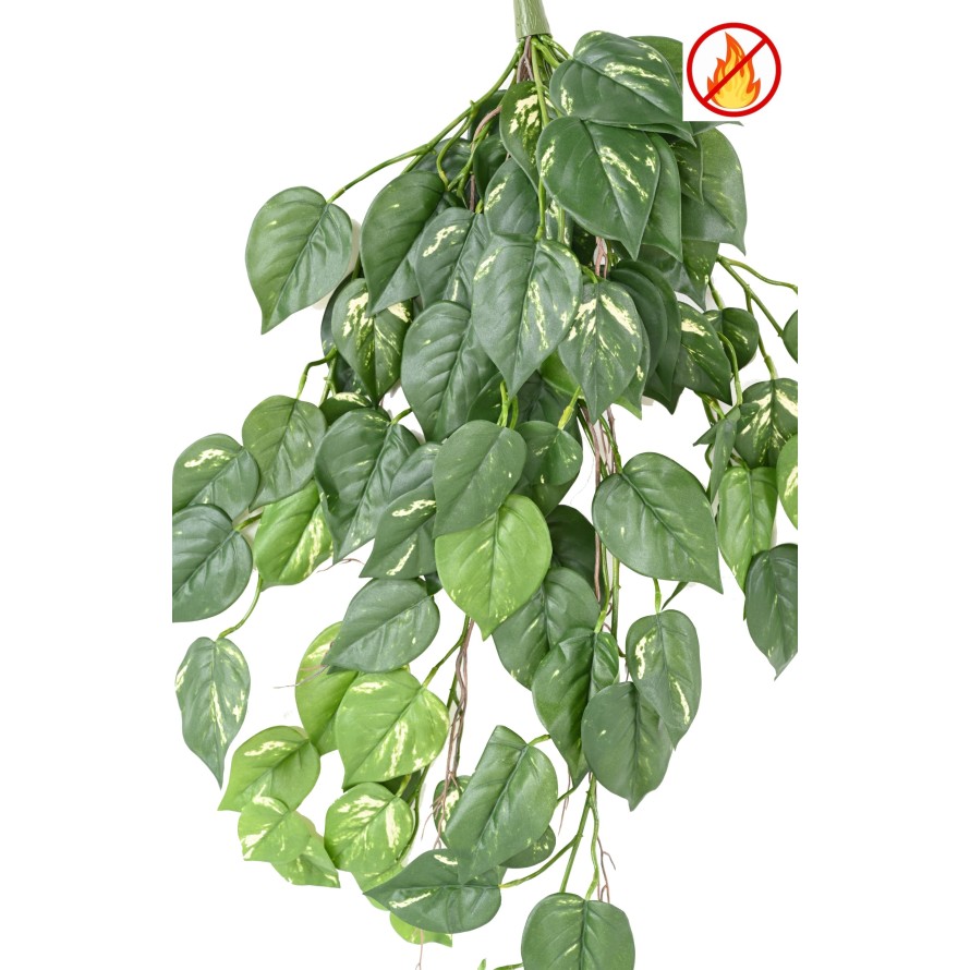 POTHOS CHUTE 95 FR - Fire Resistant