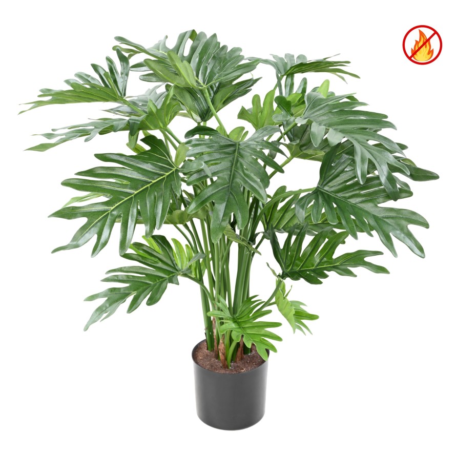 PHILODENDRON SELLOUM 63CM FR - Fire Resistant