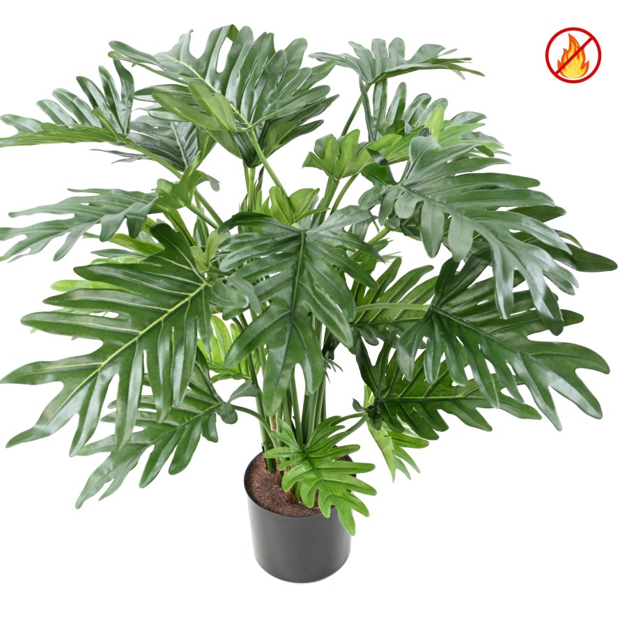 PHILODENDRON SELLOUM 63CM FR - Fire Resistant