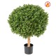 BOXWOOD BALL NEW DIAM 50 FR - Fire Resistant