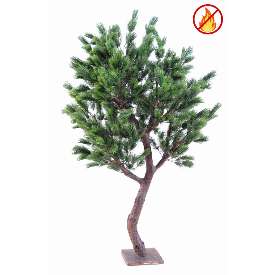 LARGE AUSTRIAN PINE FR - Fire Resistant