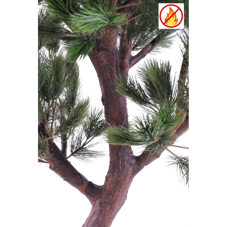 LARGE AUSTRIAN PINE FR - Fire Resistant