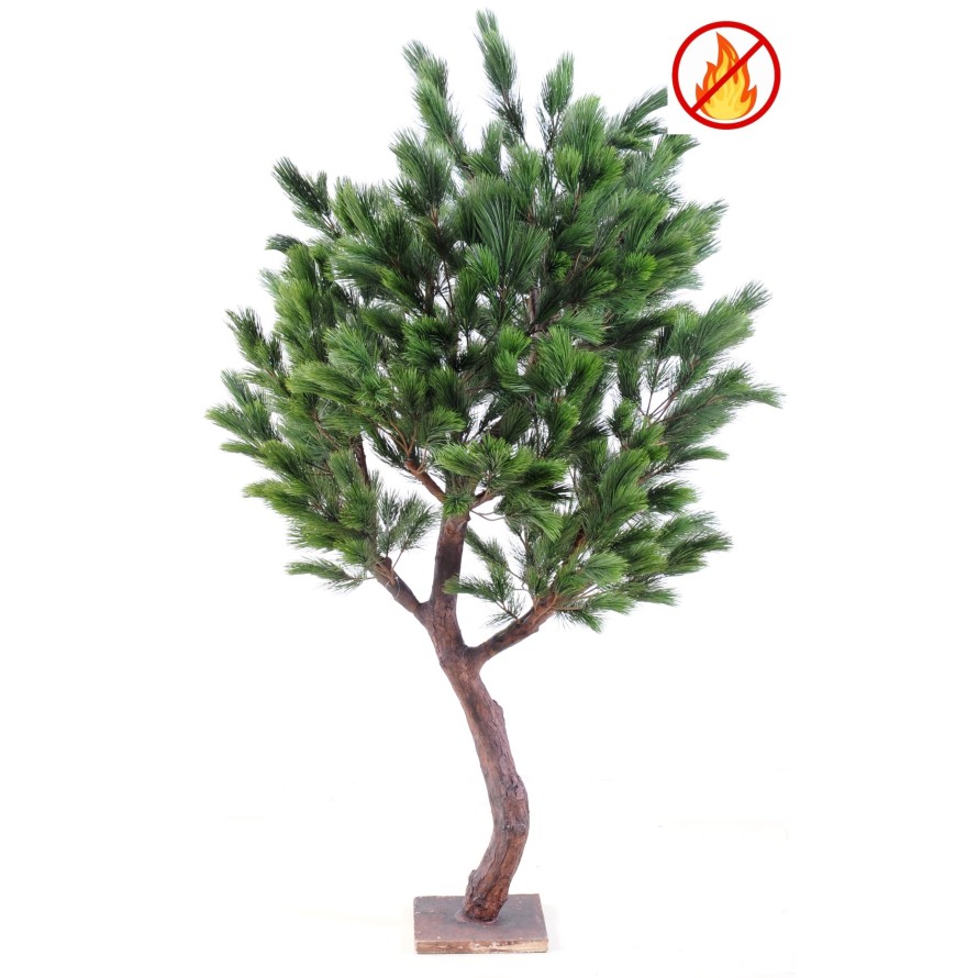 LARGE AUSTRIAN PINE FR - Fire Resistant