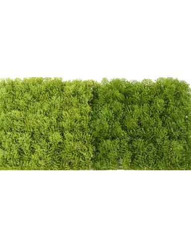 GREEN WALL PE 24 24