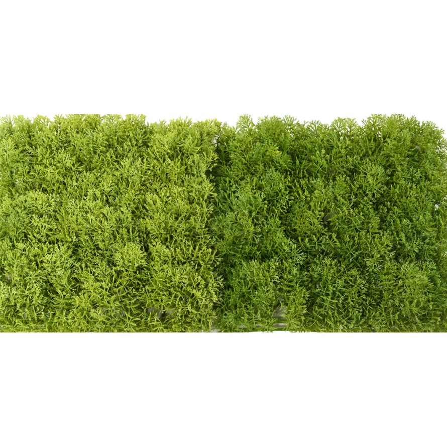 GREEN WALL PE 24 24