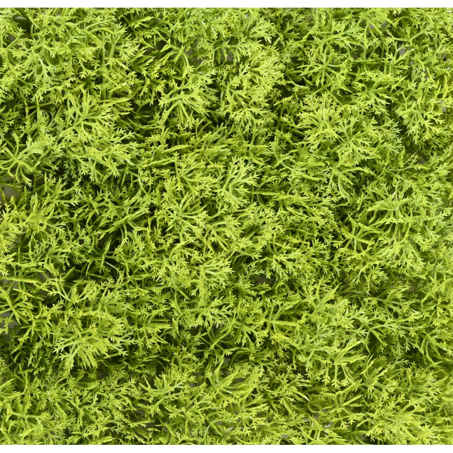 GREEN WALL PE 24 24