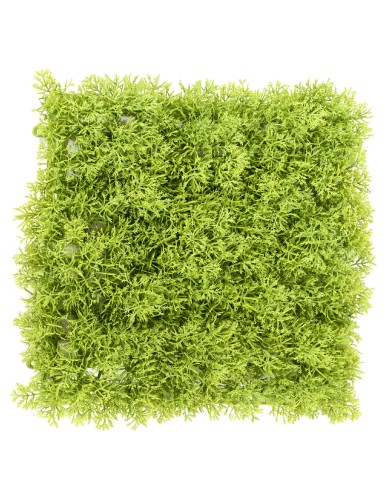 GREEN WALL PE 24 24