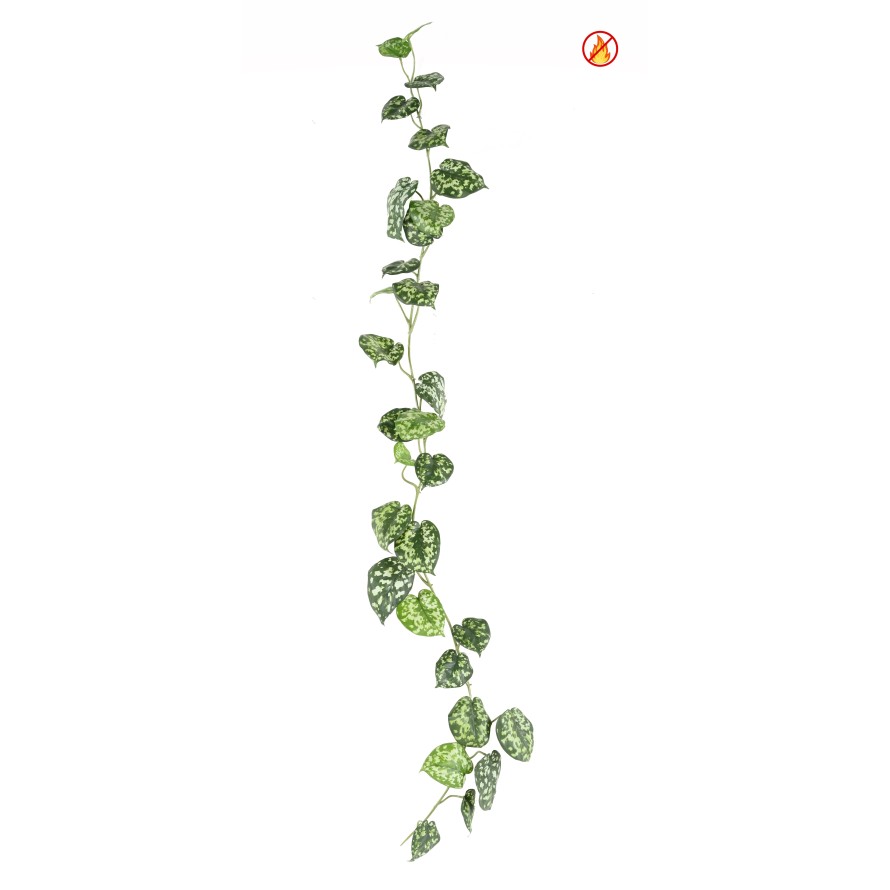 SCINDAPSUS GARLAND FR - Fire Resistant