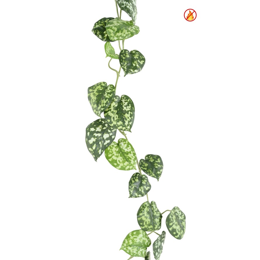 SCINDAPSUS GARLAND FR - Fire Resistant