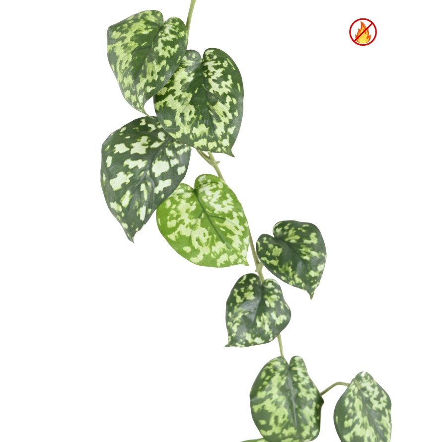 SCINDAPSUS GARLAND FR - Fire Resistant