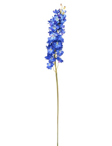 DELPHINIUM