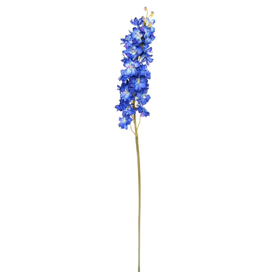 DELPHINIUM