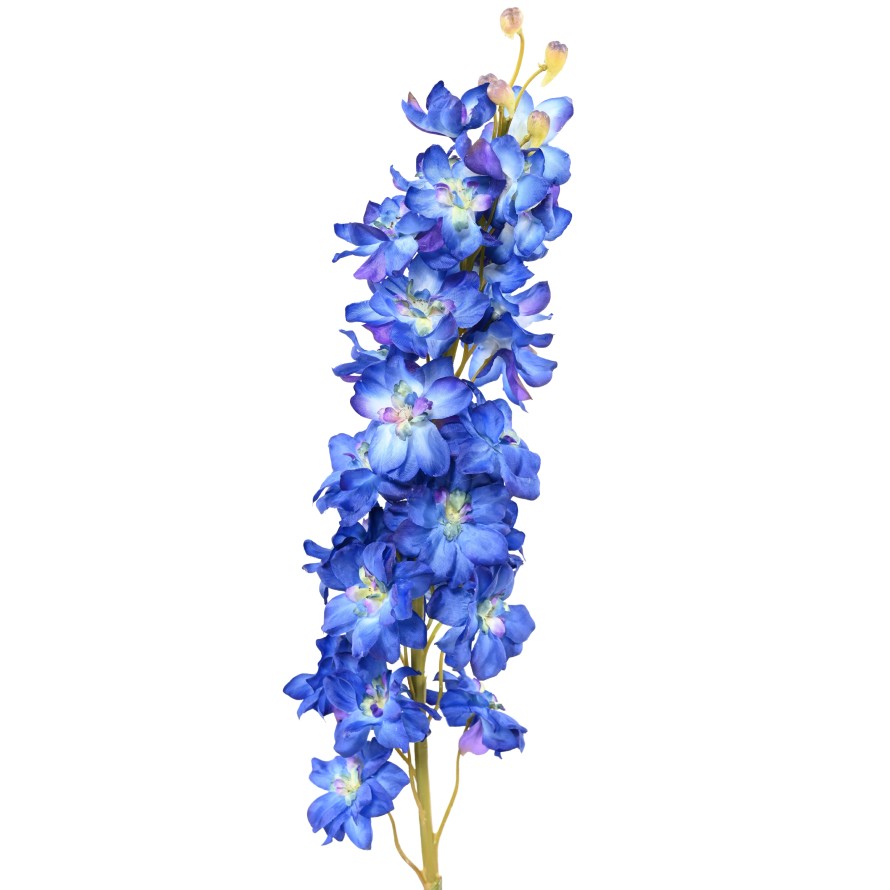 DELPHINIUM