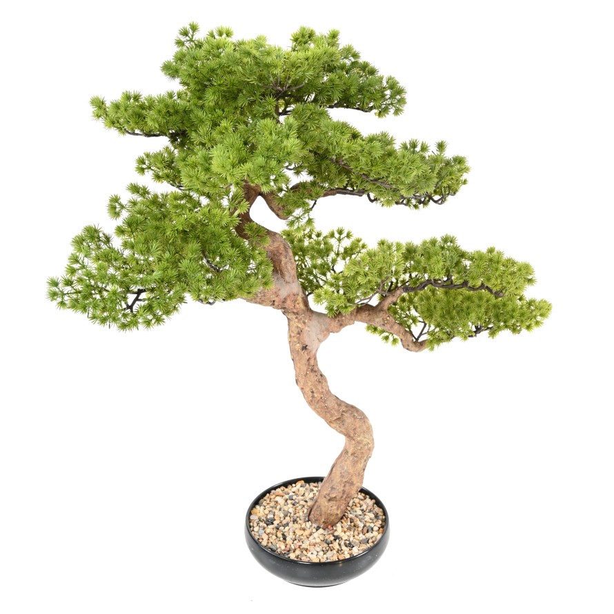 BONSAI PINE 90