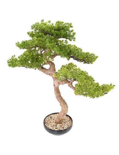 BONSAI PIN 90