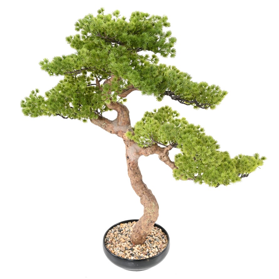 BONSAI PINE 90