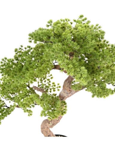 BONSAI PIN 90