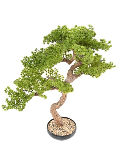 BONSAI PIN 90