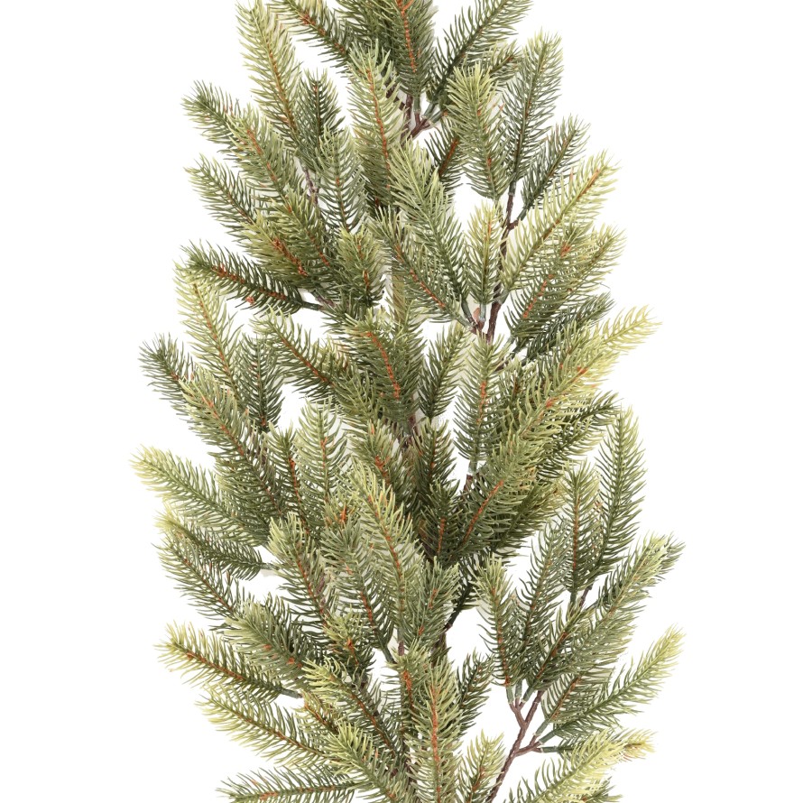 PINE BRANCH