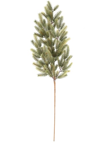 PINE BRANCH