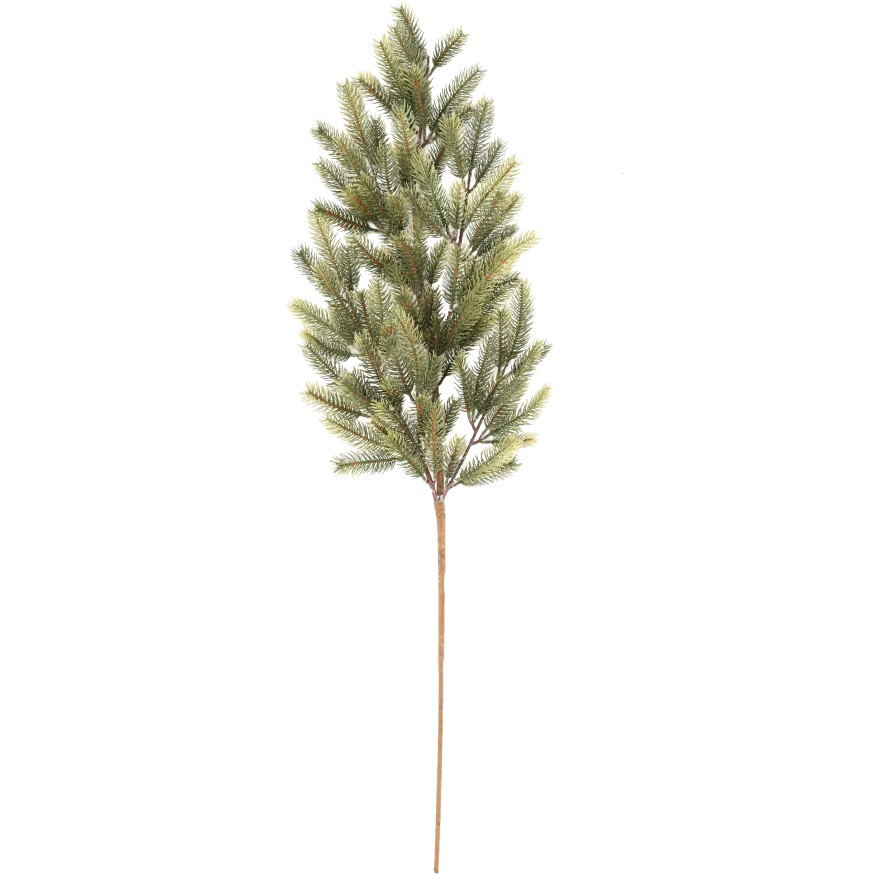 PINE BRANCH