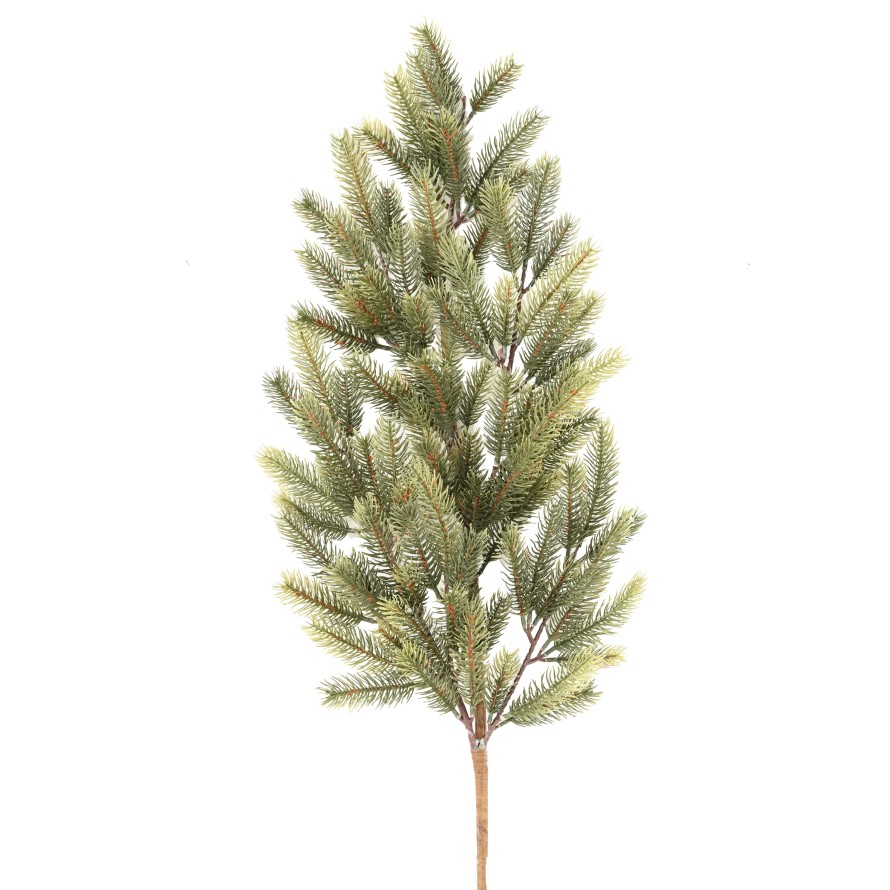 PINE BRANCH