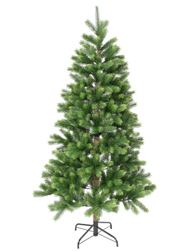 KENMORE FIR