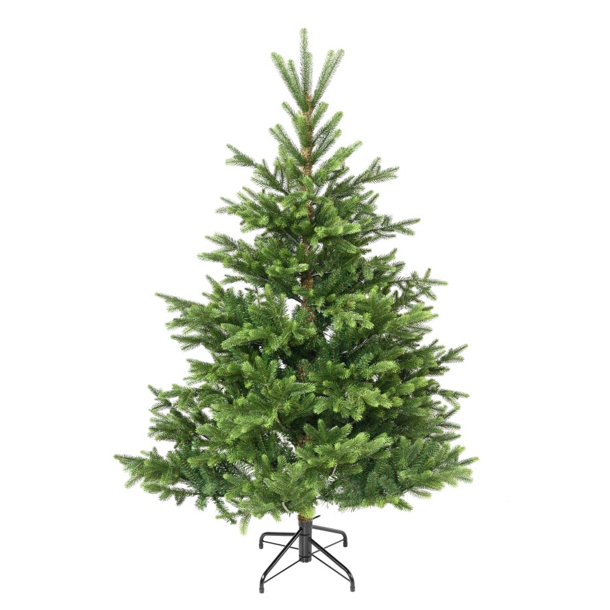 SAPIN NORDMANN