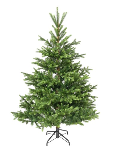 SAPIN NORDMANN