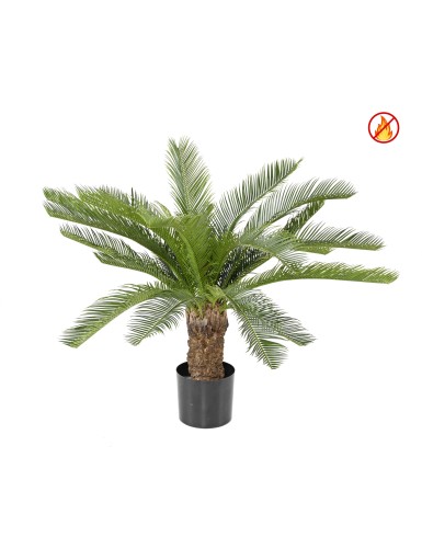 CYCAS TRUNK FR - Fire Resistant