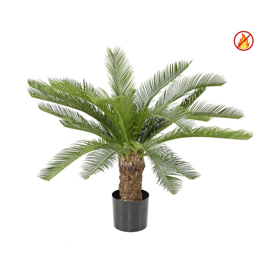 CYCAS TRUNK FR - Fire Resistant