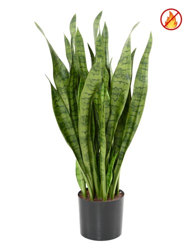 SANSEVIERIA LARGE FR - Fire Resistant