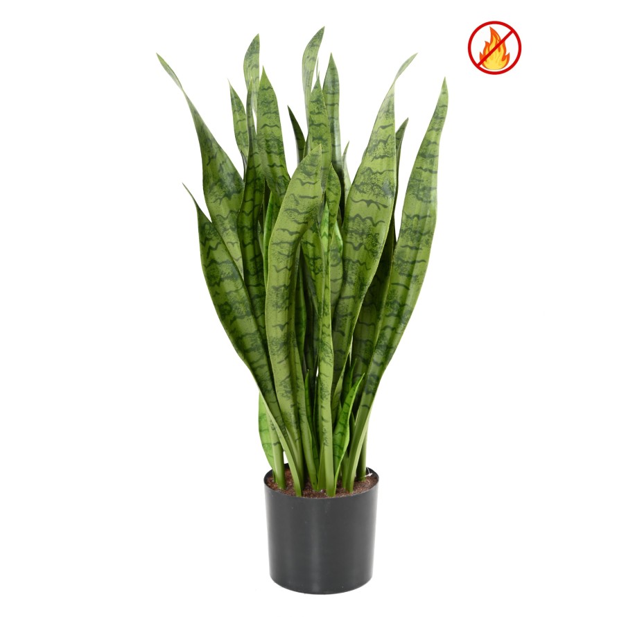 SANSEVIERIA LARGE FR - Fire Resistant