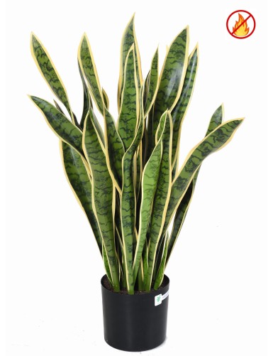 SANSEVIERIA LARGE FR - Fire Resistant