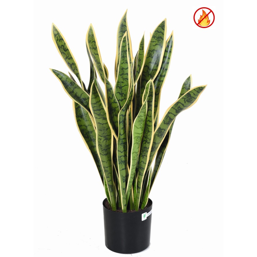 SANSEVIERIA LARGE FR - Fire Resistant