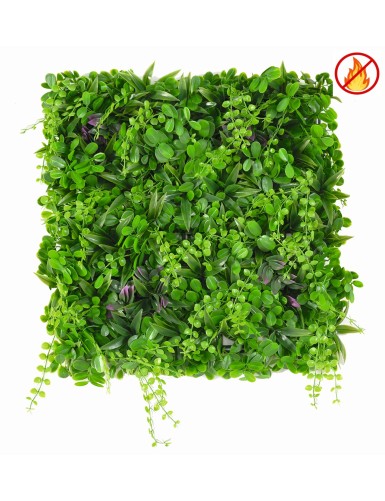 GREEN WALL E 50*50 FR -...