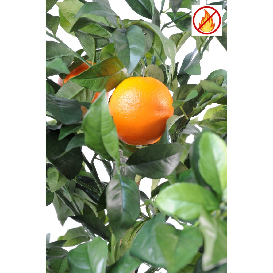 ORANGE TREE NEW FR - Fire Resistant