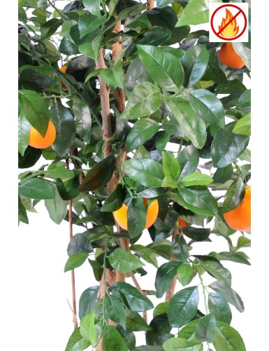 ORANGE TREE NEW FR - Fire Resistant