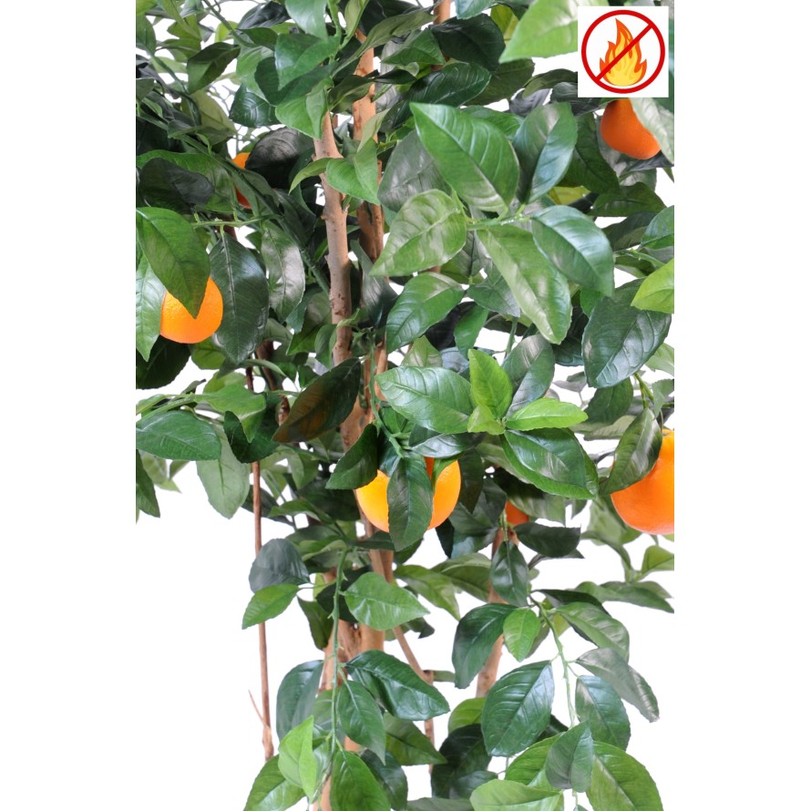 ORANGE TREE NEW FR - Fire Resistant