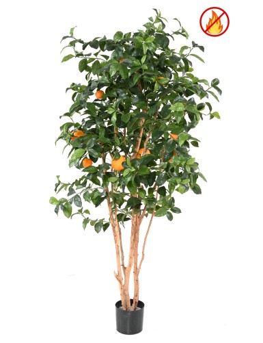 ORANGE TREE NEW FR - Fire Resistant