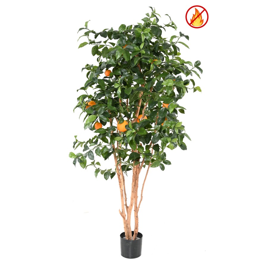 ORANGE TREE NEW FR - Fire Resistant