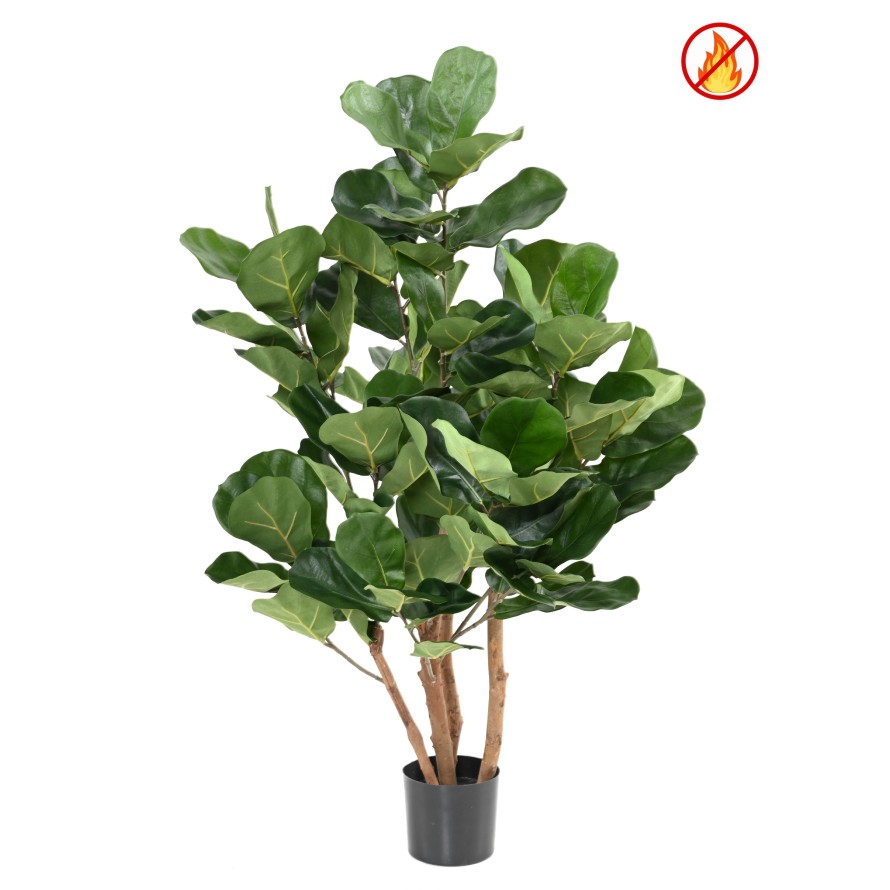 LYRATA ROYAL BUISSON FR - Fire Resistant