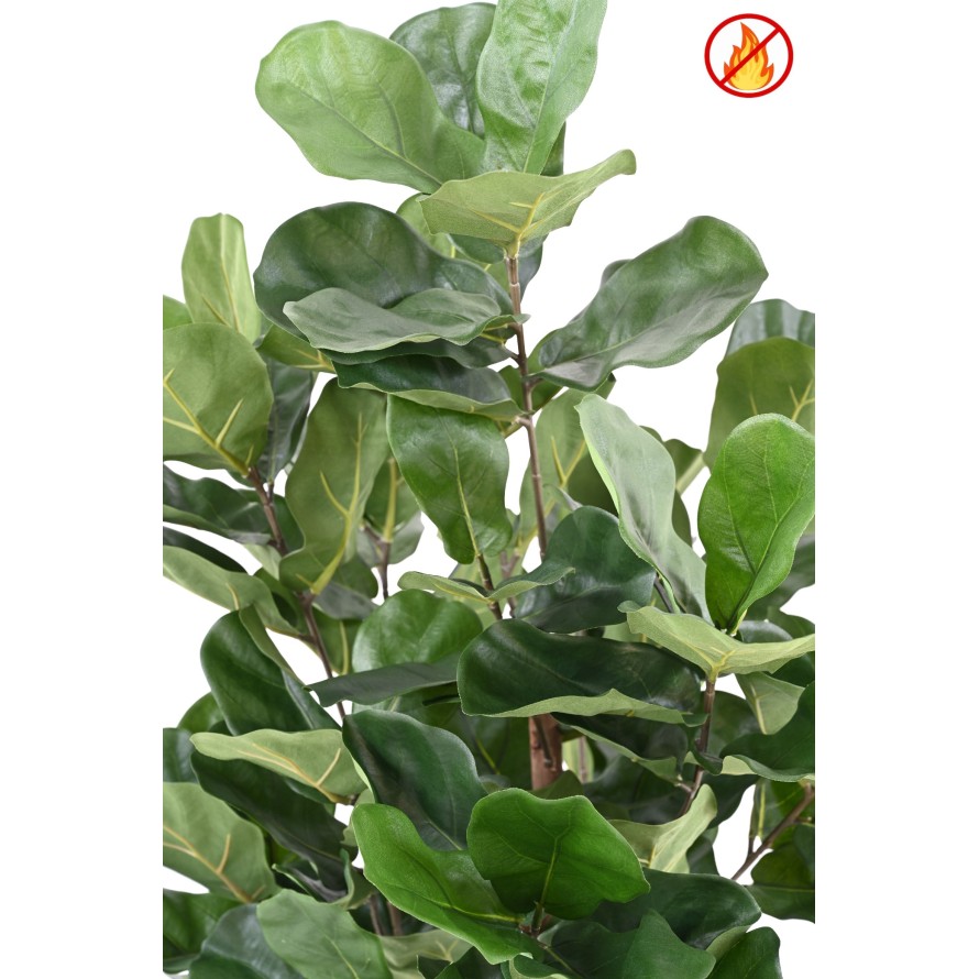 LYRATA ROYAL BUSH FR - Fire Resistant