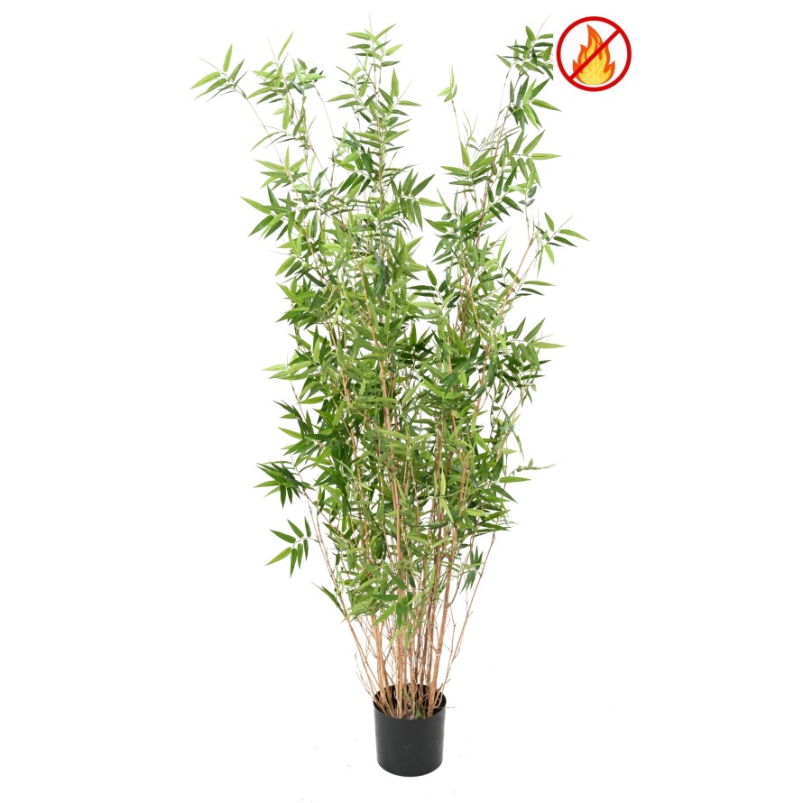 BAMBOO MULTITREE ORIENTAL FR - Fire Resistant