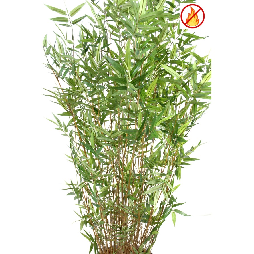 BAMBOO MULTITREE ORIENTAL FR - Fire Resistant