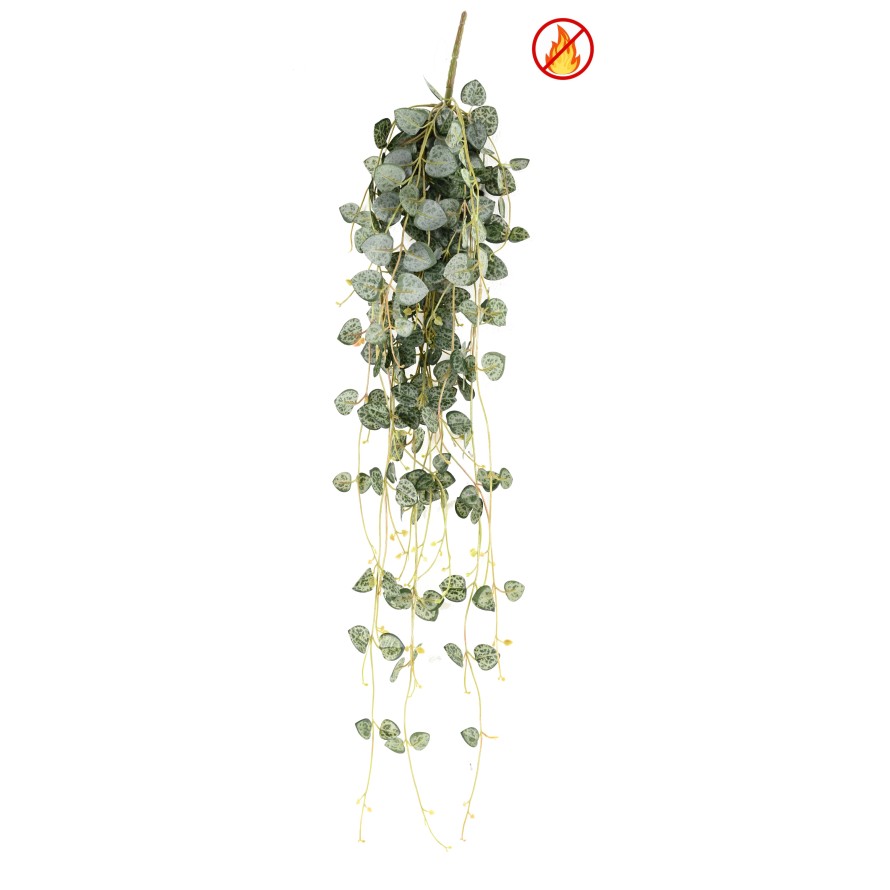 CEROPEGIA 70 FR - Fire Resistant