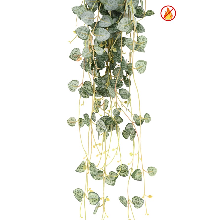 CEROPEGIA 70 FR - Fire Resistant