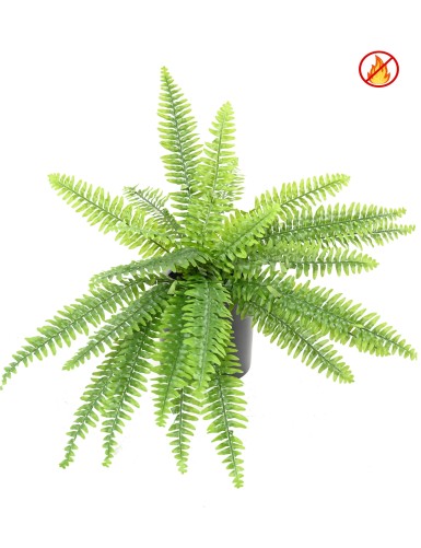 FERN BOSTON FR - Fire Resistant