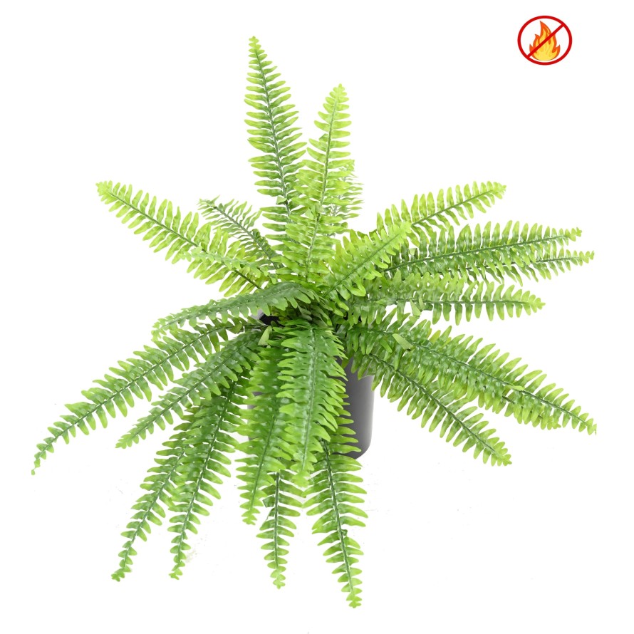 FERN BOSTON FR - Fire Resistant